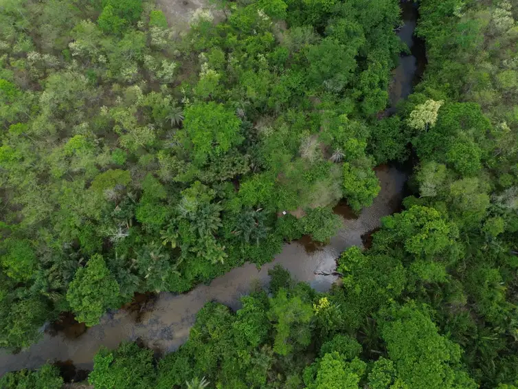 Desmatamento na Amazônia e Cerrado cai ao menor nível da série histórica