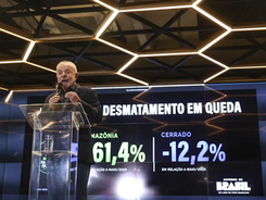 Brasil registra queda histórica de desmatamento na Amazônia