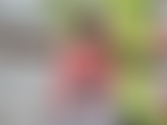 Queniano se torna primeiro atleta a correr maratona abaixo de 2 horas