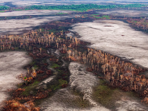 Gigante francesa será julgada por desmatamento na Amazônia