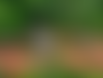 PF investiga emboscada com morte de vaqueiro a serviço do Ibama no Pará