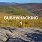 Bushwhacking 1 – Intro