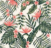 tropical 1.jpg