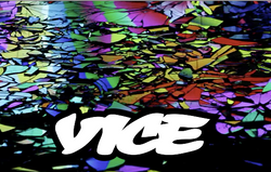 VICE/Fiesta 24hr Project