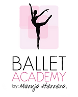 xBallet Academy_edited.png