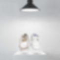 New collection.png