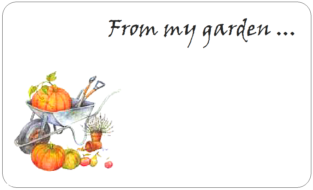 From my garden customised stickers allotment gardening self-adhesive labels