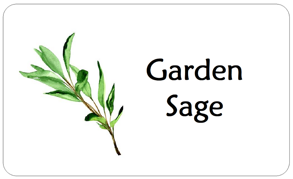 Garden Sage Stickers for Homegrown Herbs. Allotment Produce Labels