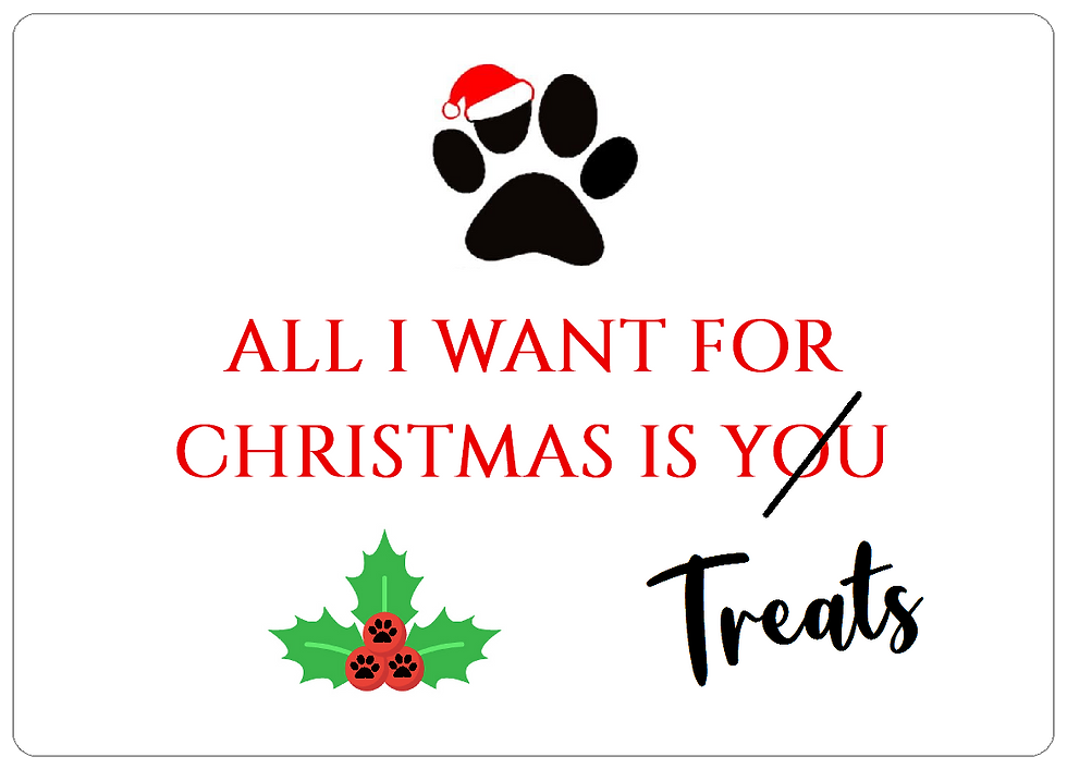 Christmas Dog Treat Box Labels All I Want for Christmas is Treats Stickers