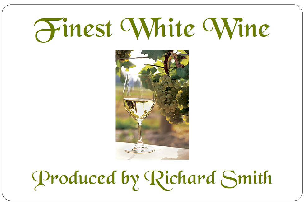 glass of white wine in front of grape vine