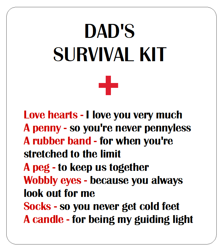 Dad's Survival Kit Novelty Gift Stickers Fun Dad Labels