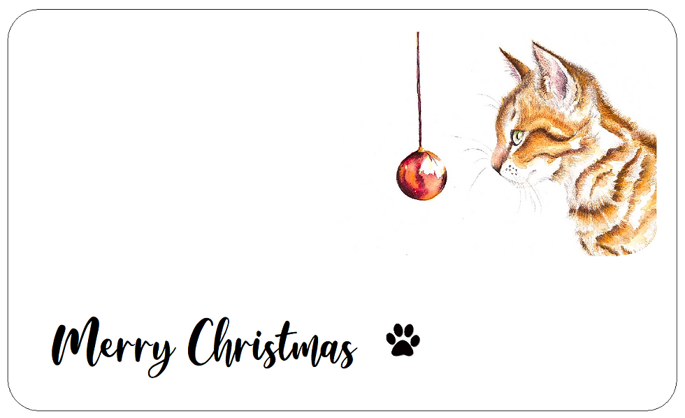 Merry Christmas Ginger Cat with Bauble Gift Stickers Self-Adhesive Pet Labels