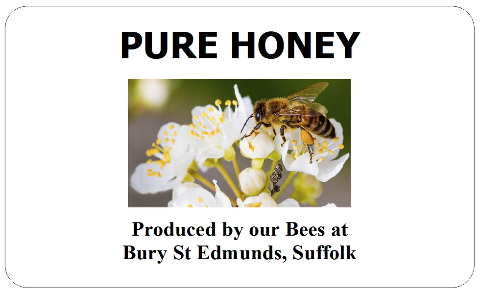 Real Honey Bee Image on Flowers Honey Jar Stickers Labels