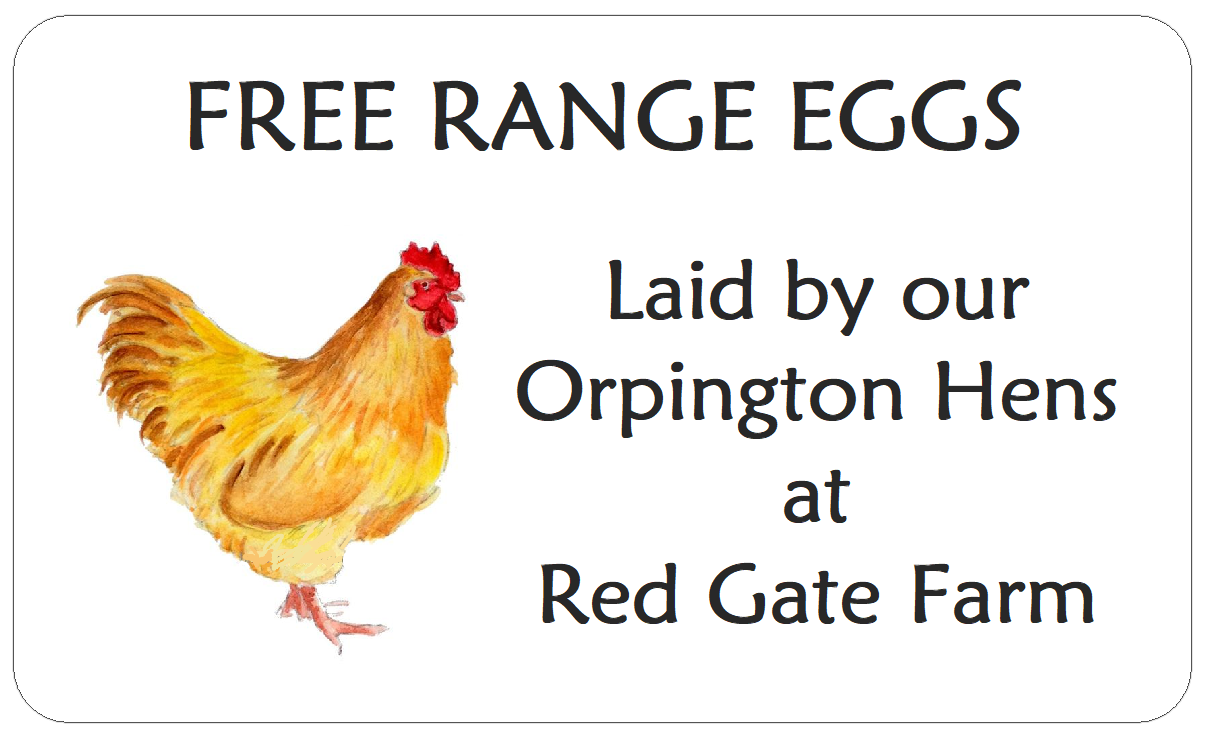 Orpington Chicken Egg Labels Personalised Hen Stickers