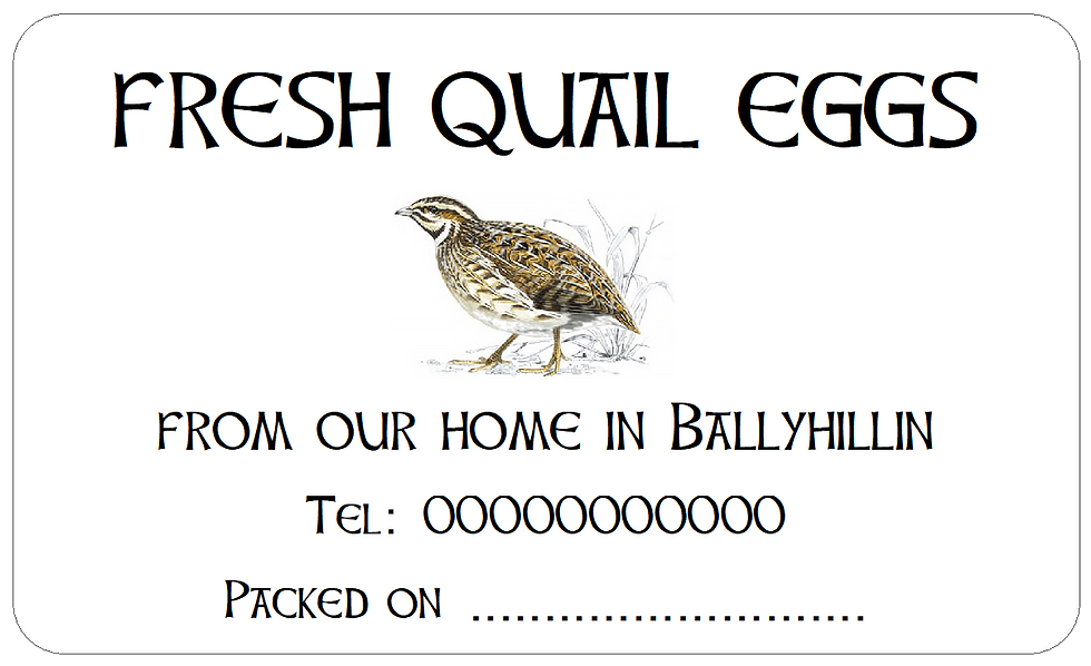 Personalised Quail Egg Box Labels, Stickers for Small Quail Cartons Celtic Style
