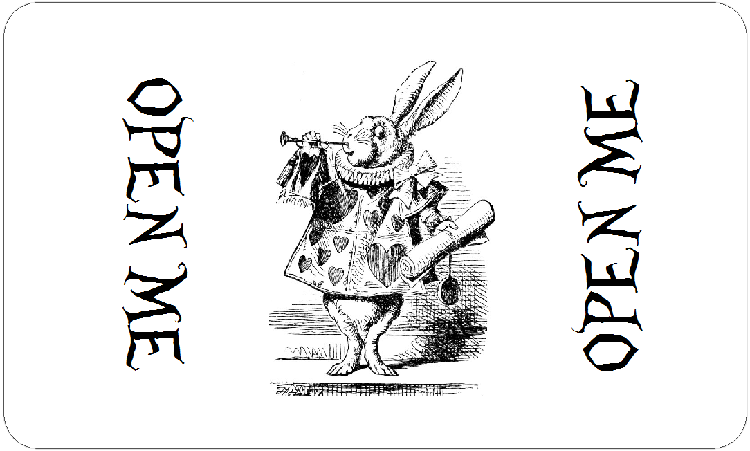 Alice in Wonderland Open Me Rabbit