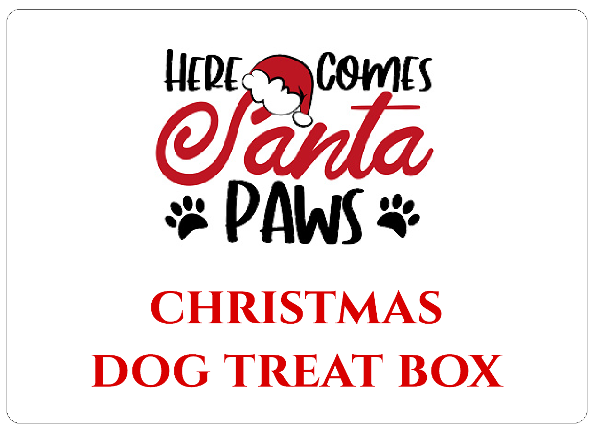 Christmas Dog Treat Box Labels Here Comes Santa Paws Stickers
