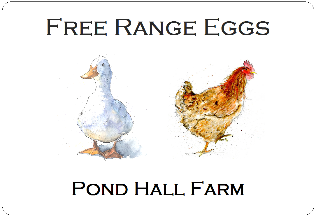 Large Egg Box Labels Personalised Duck Chicken Hen Stickers