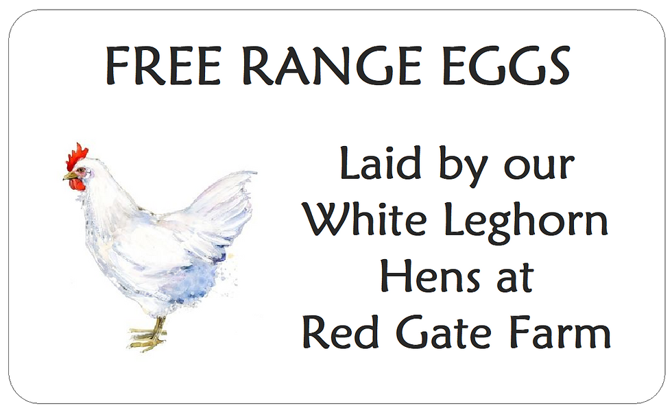 White Leghorn Chicken Egg Labels Personalised Hen Stickers