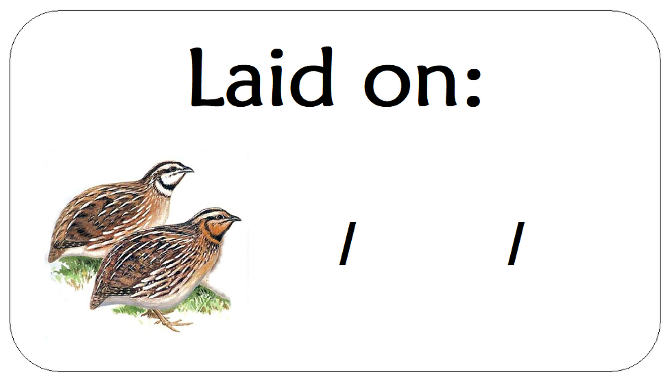 MINI LAID ON DATE QUAIL EGG BOX STICKERS SMALL BEST BEFORE STICKY LABELS