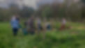 Echanges autour de la permaculture dans le potager de l'abbaye - Appel à projets 2022 - Le site du projet de forêt comestible citoyenne d'Echourgnac - Fromagerie de l'abbaye d'Echourgnac