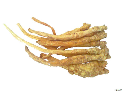 Pinyin: nan sha shen