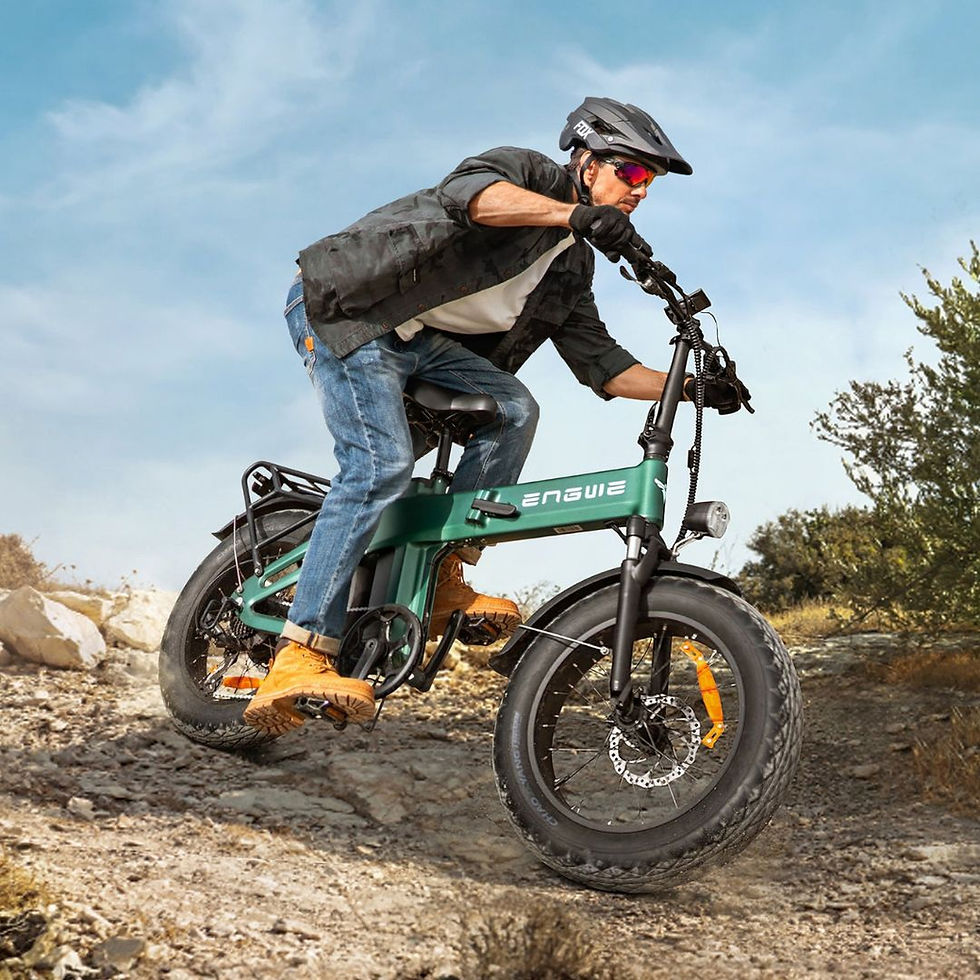 Engwe EP-2 3.0 Boost 75Nm 120KM Range Torque Sensor All-Terrain E-bike