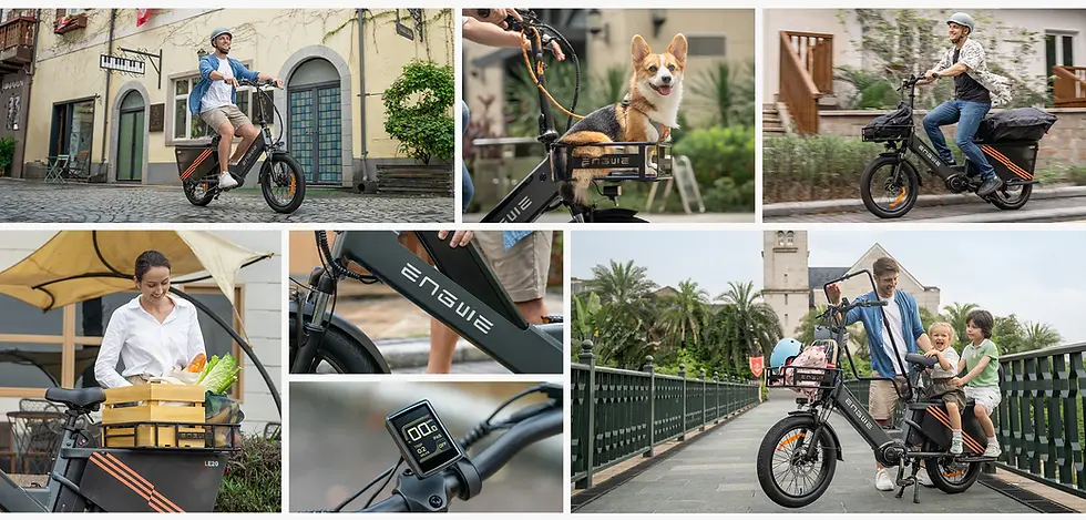 Thumbnail: Engwe LE20 250W Mid-drive Torque Sensor Step-Thru Cargo E-bike [SINGLE BATTERY]