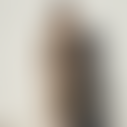 Adele Olive Martini One Shoulder Sleeve Boho Maxi Dress WKND LUXE