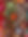 IMG_0999.jpeg