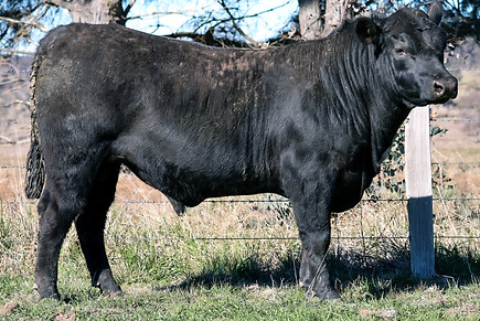 W5 LOT8.jpg