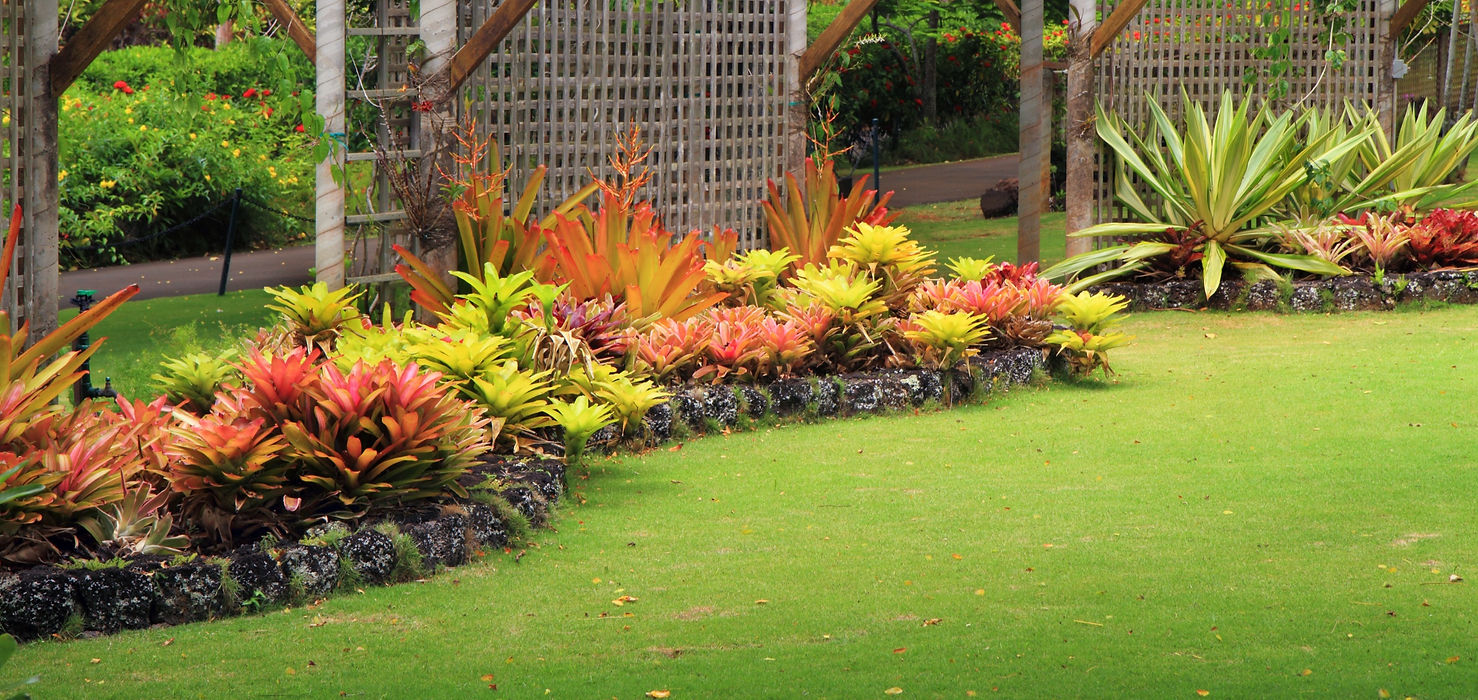 Intricate landscaped garden