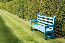 Hedge trimming