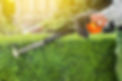 Hedge maintenance