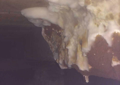 wet rot on wood