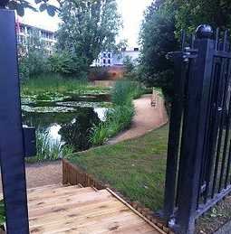 pond restoration finished