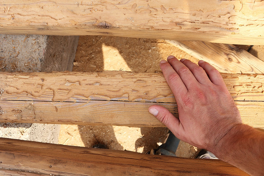 Hand on wood beams