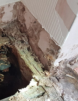 Dry rot under floor
