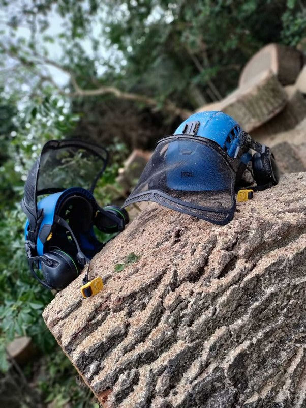 tree service workwear