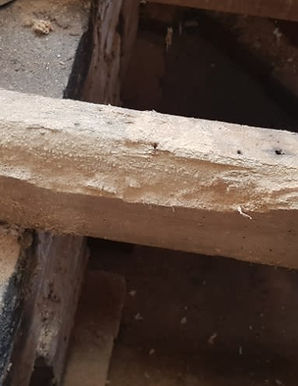 Dry rot beam