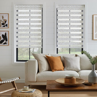white Vision blinds