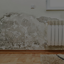 Mold and moisture buildup on wall of a modern house_edited.jpg