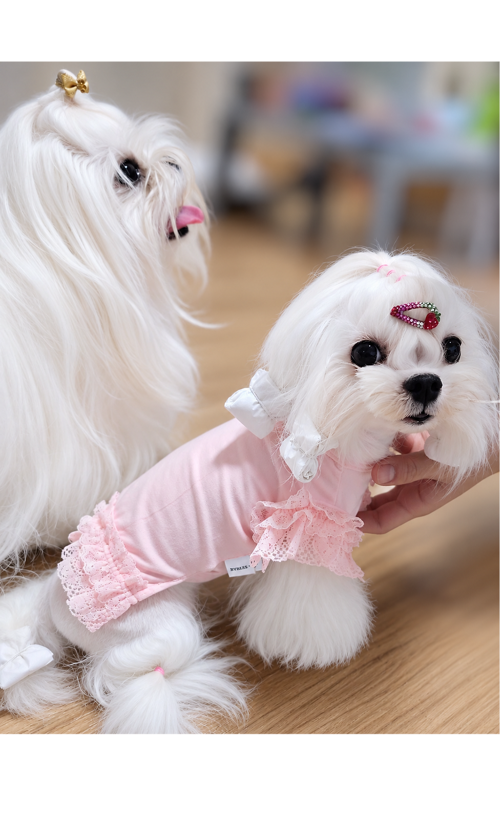 KakaoTalk_20260908_152234631_01_edited.png