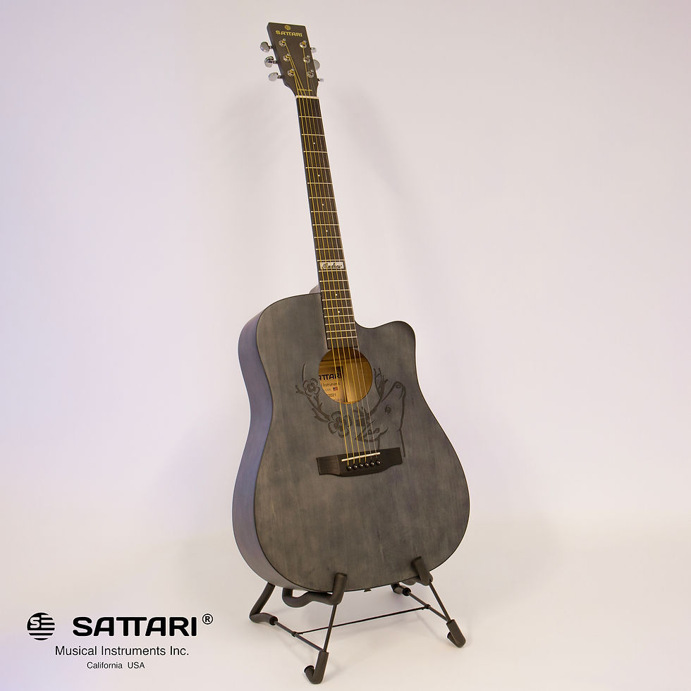 Thumbnail: Steel String Acoustic Guitar