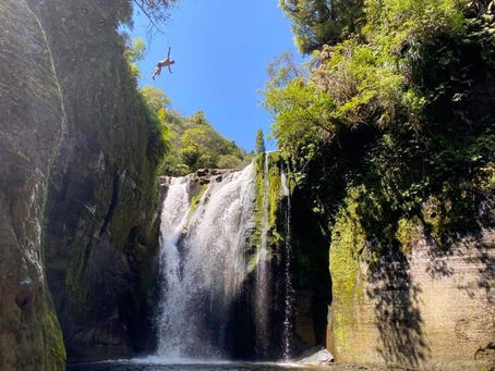 Priorities and Personalities