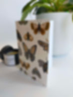 Moth Card