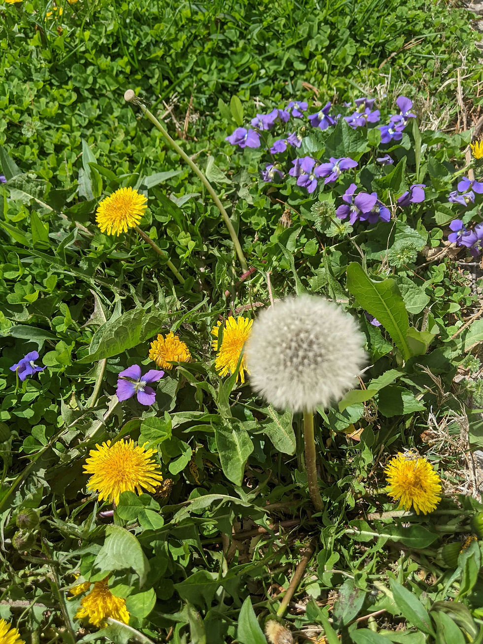 Small Feelings in a Big World.