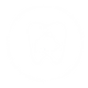 DDS Logo White.png