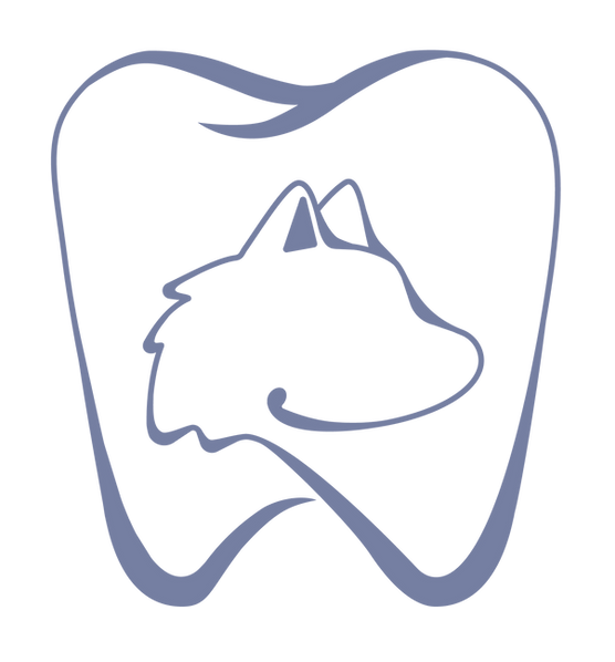 DDS Logo Blue 2_edited_edited.png