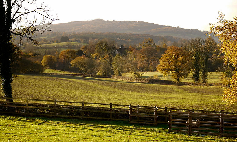 May_Hill,_view_from_Hollybush_-_geograph.org.uk_-_5199589.jpg